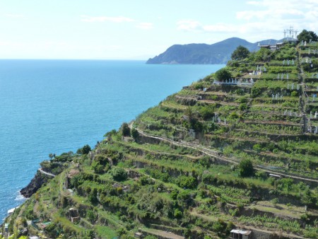 Vigneti di Manarola e Presepe